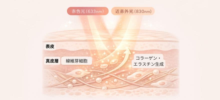 カレントボディLEDマスクでコラーゲン・エラスチン生成の促進