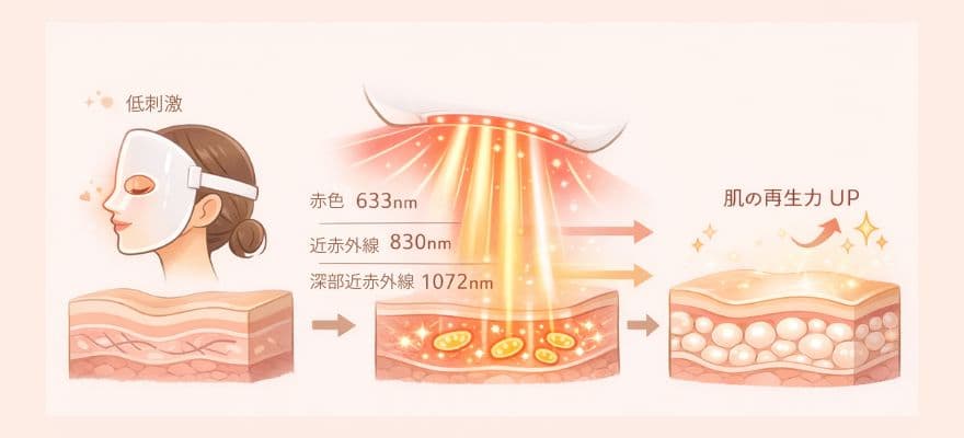 カレントボディのLEDライトが肌の再生力を引き出す 